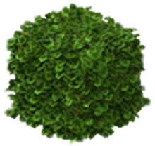 Image - Siepe.png | Ice Age Village Wiki | FANDOM powered by Wikia