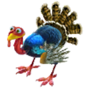 Turkey