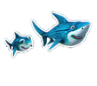 Whole baby shark