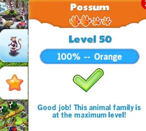 Possum