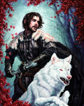 Jon Snow A Song Of Ice And Fire Wiki Fandom