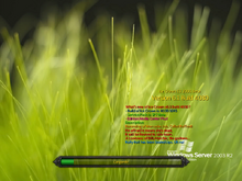IceCrownBuild4030-LoadingScreen