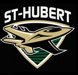 SthubertjetsLogo