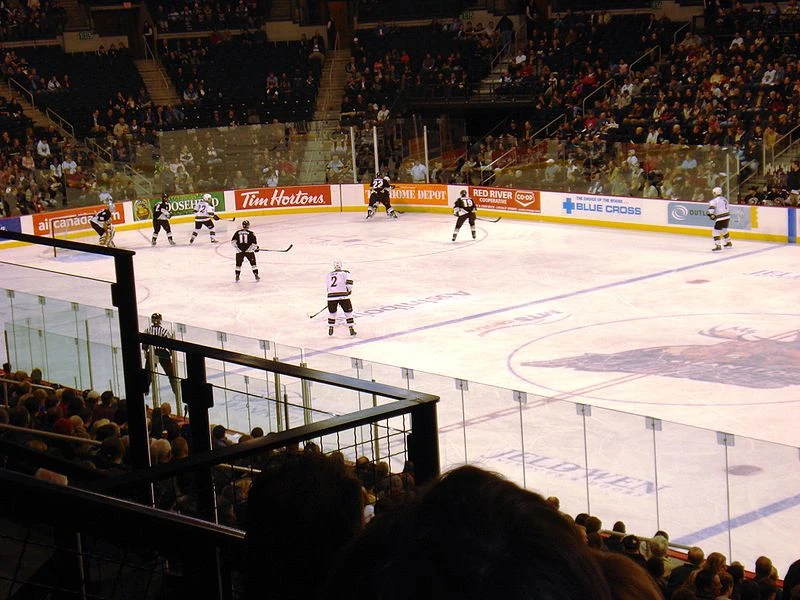 Manitoba Moose Ice Hockey Wiki FANDOM powered by Wikia