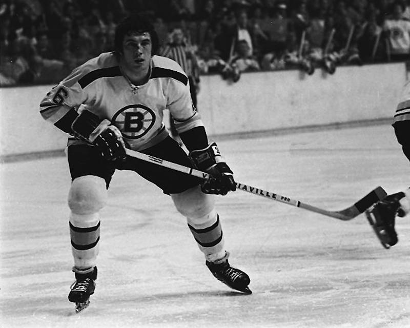 CategoryNiagara Falls Flyers (19601972) alumni Ice Hockey Wiki