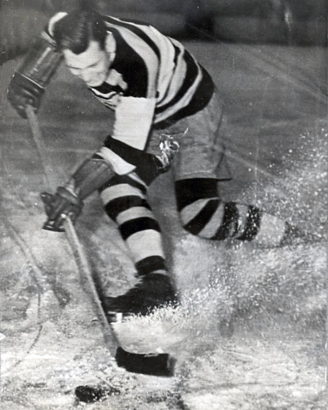 CategoryKitchener Dutchmen players Ice Hockey Wiki FANDOM powered