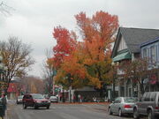 Sewickley, Pennsylvania