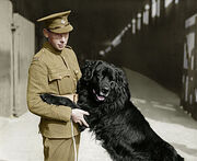 Sable chief with his handler