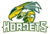 Gravelbourg Hornets