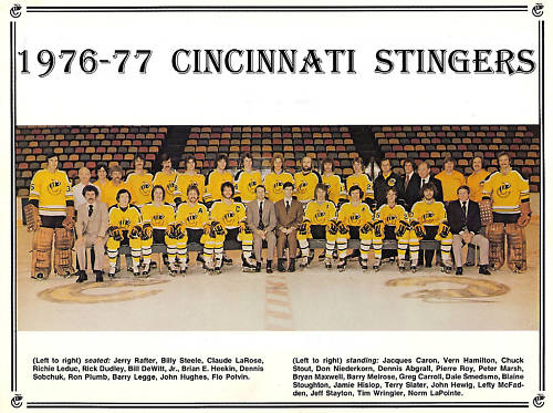 Image result for cincinnati stingers