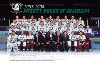 1993 anaheim ducks jersey