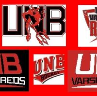 New Brunswick Reds Ice Hockey Wiki Fandom