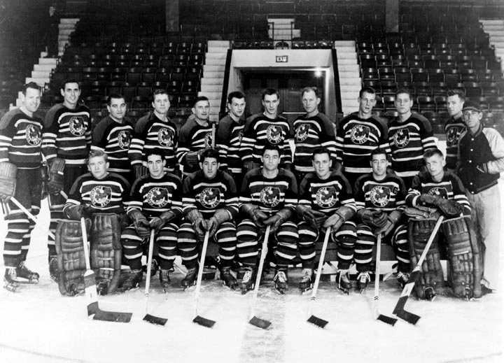 195051 AHL season Ice Hockey Wiki FANDOM powered by Wikia