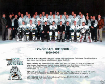 Long Beach Ice Dogs Ice Hockey Wiki Fandom