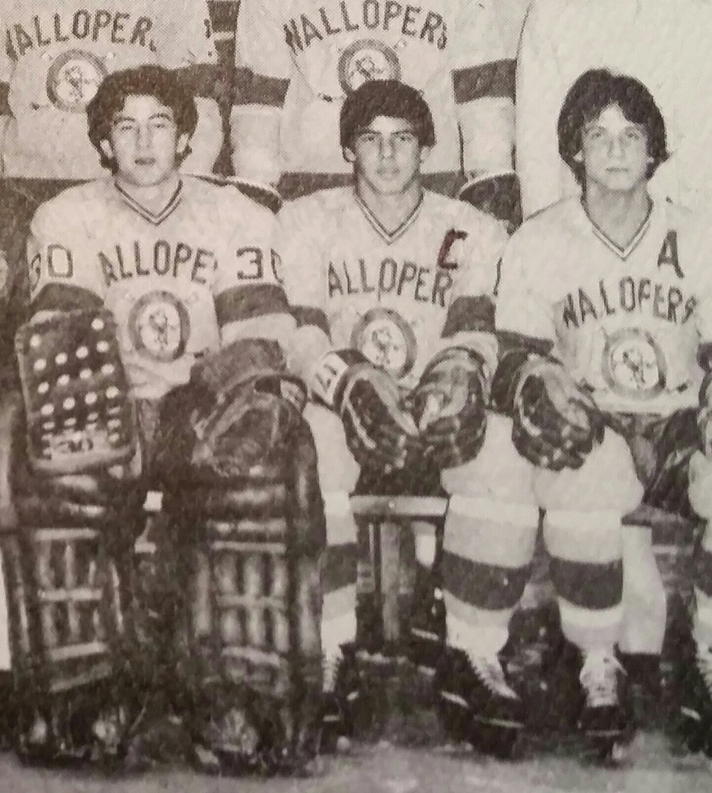 Thetford Mines FleurdeLys Ice Hockey Wiki FANDOM powered by Wikia