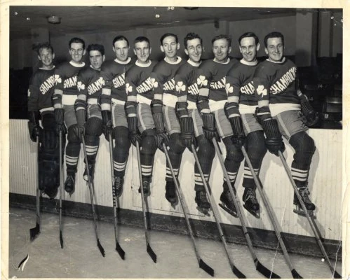 194445 PCHL Season Ice Hockey Wiki FANDOM powered by Wikia