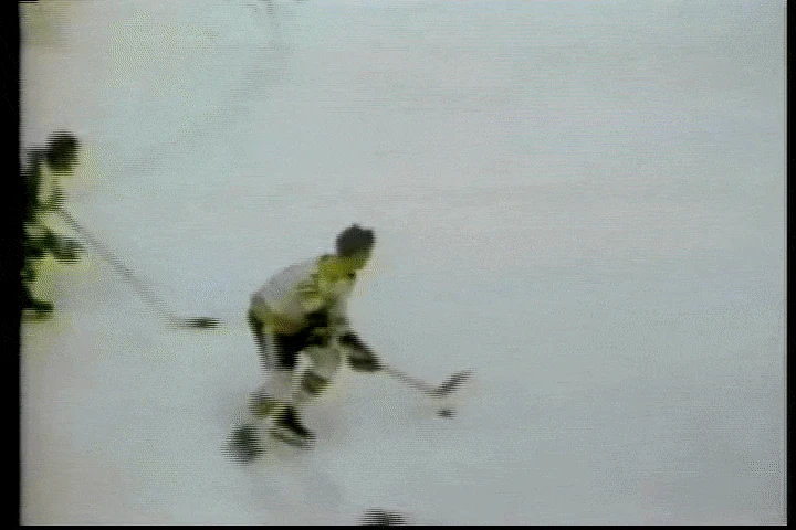 196970 Minnesota North Stars season Ice Hockey Wiki Fandom