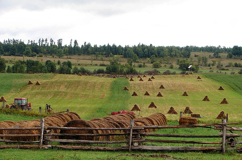 Image Douglas, Ontario.jpg Ice Hockey Wiki FANDOM powered by Wikia