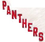 Pincher creek panthers hockey jersey new stitch sewn be577ab6