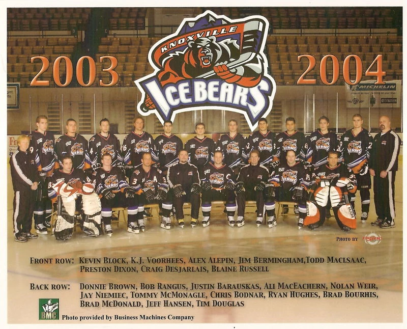 CategoryDefunct ice hockey leagues Ice Hockey Wiki FANDOM powered