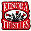 Kenora thistles