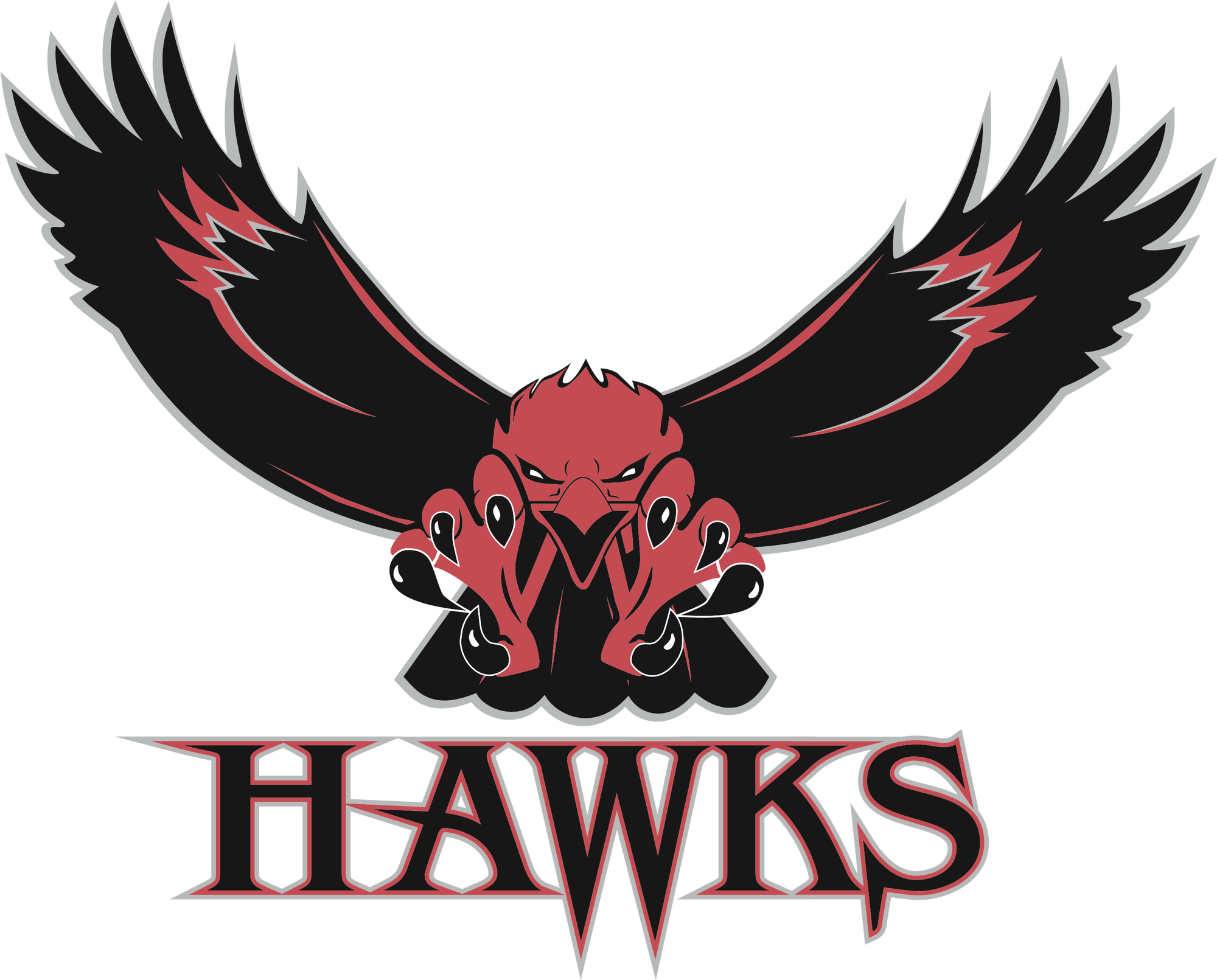 Paradise Hill Hawks | Ice Hockey Wiki | Fandom