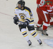 Johannson Quinnipiac