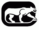 Longislandcougars
