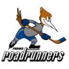 LogoIhlPhoenixRoadrunners