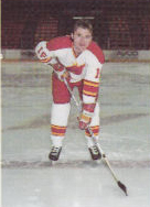 Raypodloski