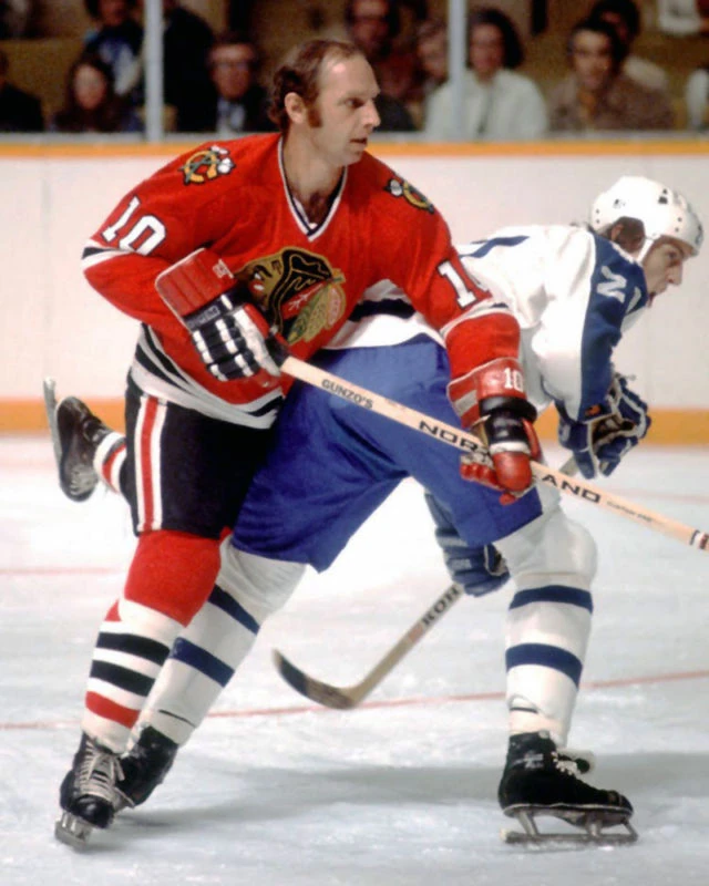 Dennis Hull Ice Hockey Wiki FANDOM powered by Wikia