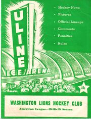 WashLionsProgram