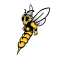 Wisconsin Superior Yellowjackets logo
