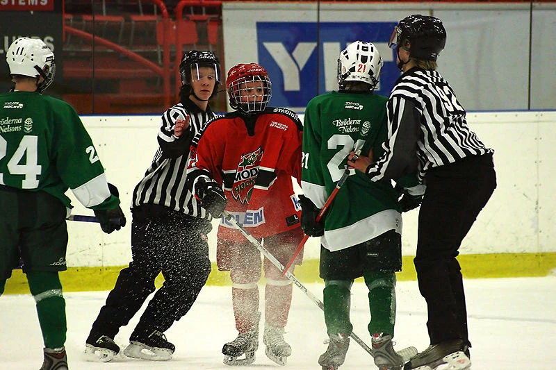 Minor ice hockey Ice Hockey Wiki FANDOM powered by Wikia