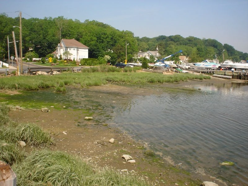 Greenlawn, New York Ice Hockey Wiki FANDOM powered by Wikia