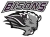 Balgonie Bisons 2010