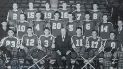 194849 AHL season Ice Hockey Wiki FANDOM powered by Wikia