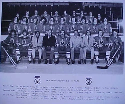 197576 AHL season Ice Hockey Wiki FANDOM powered by Wikia