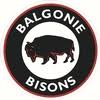 Balgonie Bisons