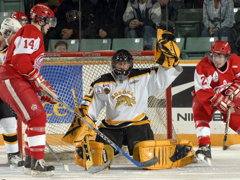 Aurora Tigers Ice Hockey Wiki Fandom