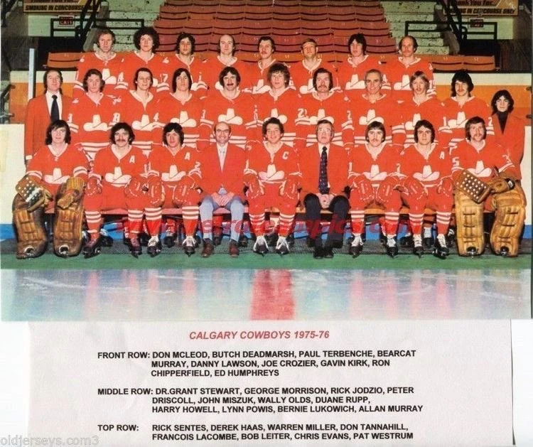 197576 Calgary Cowboys season Ice Hockey Wiki FANDOM powered by Wikia
