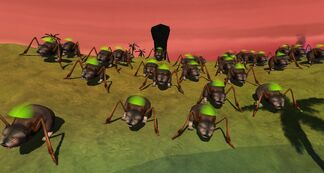 Overpopulation