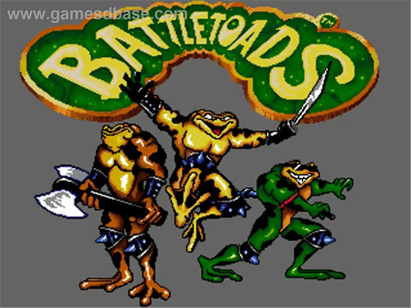 Resultado de imagem para Battle toads