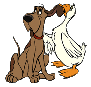 Clipdogduck