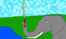 African Elephant