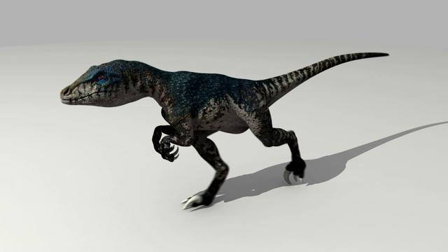 unity forums raptor