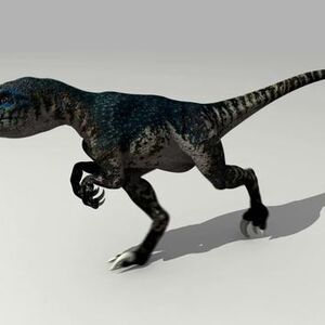 Raptor Gallery Idea Wiki Fandom