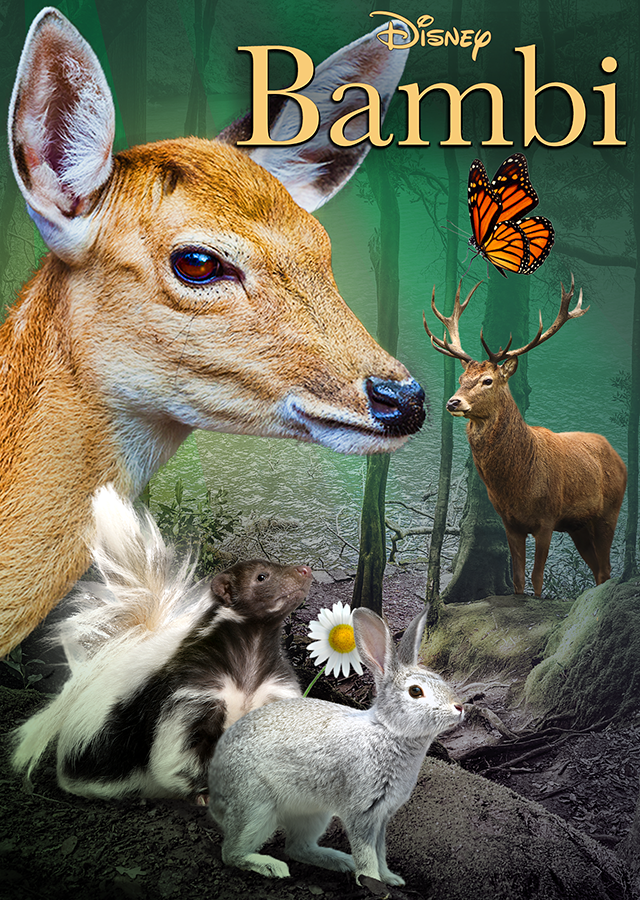 Bambi  Idea Wiki  FANDOM powered by Wikia