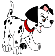Puppy3