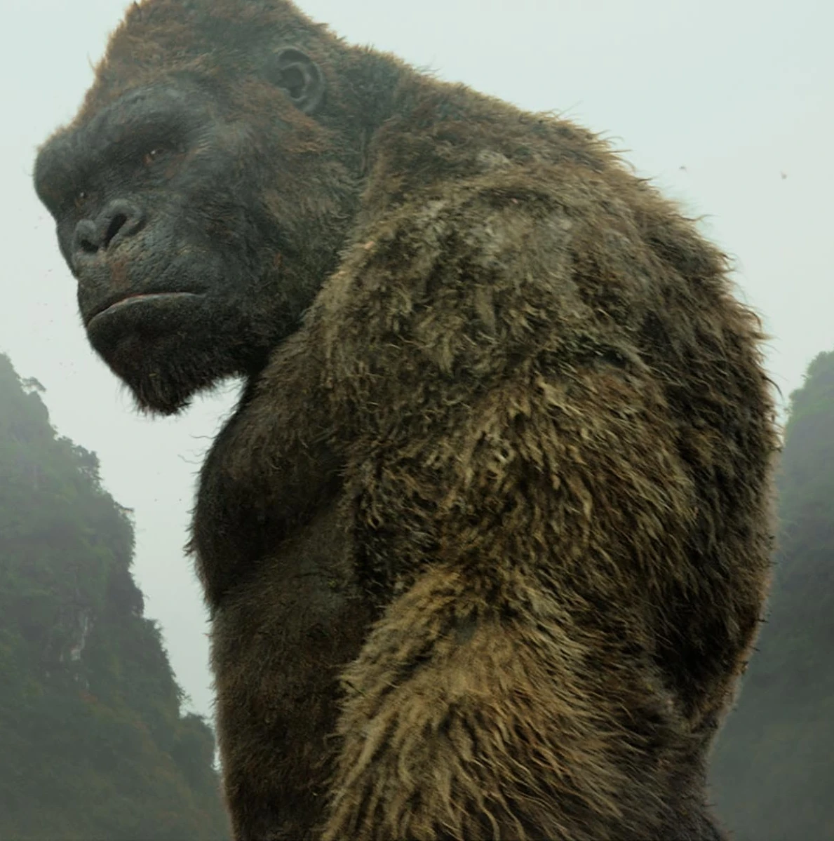 king-kong-new-age-of-monsters-idea-wiki-fandom-powered-by-wikia
